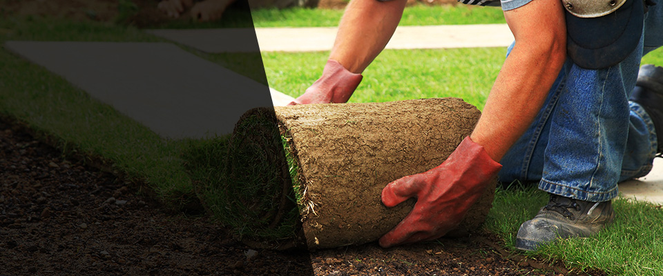 Calumet City Landscapers